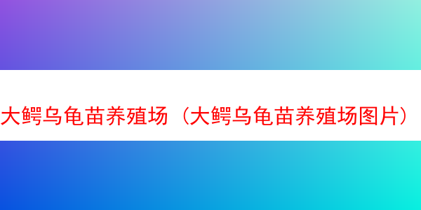 大鳄乌龟苗养殖场 (大鳄乌龟苗养殖场图片)