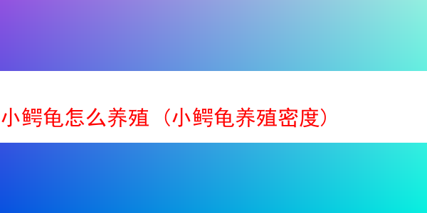 小鳄龟怎么养殖 (小鳄龟养殖密度)