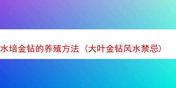 水培金钻的养殖方法 (大叶金钻风水禁忌)