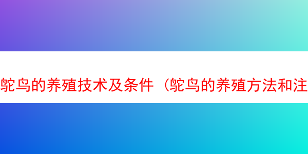 鸵鸟的养殖技术及条件 (鸵鸟的养殖方法和注意事项)