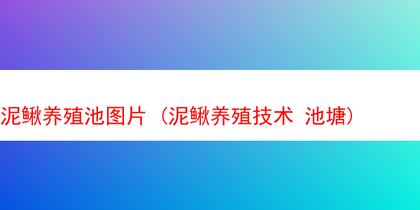 泥鳅养殖池图片 (泥鳅养殖技术 池塘)