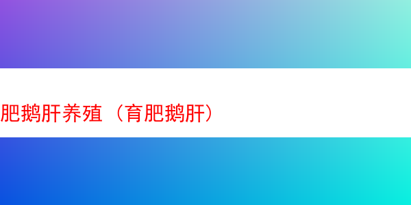 肥鹅肝养殖 (育肥鹅肝)