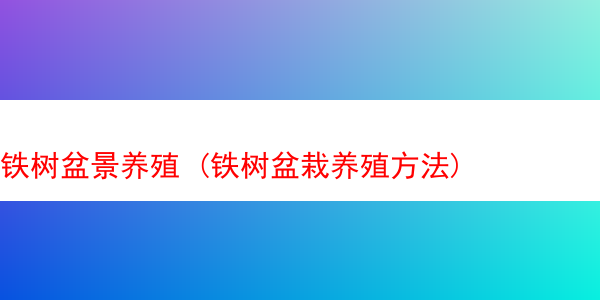 铁树盆景养殖 (铁树盆栽养殖方法)