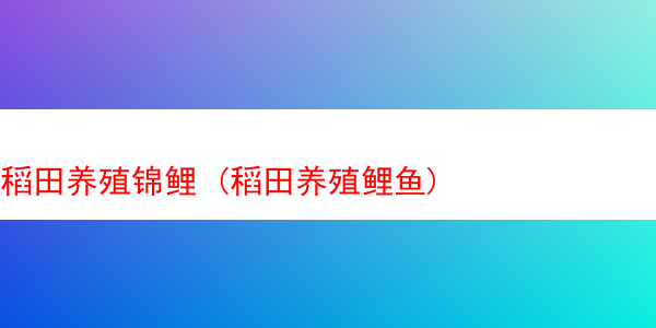 稻田养殖锦鲤 (稻田养殖鲤鱼)