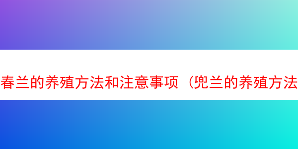 春兰的养殖方法和注意事项 (兜兰的养殖方法和注意事项)