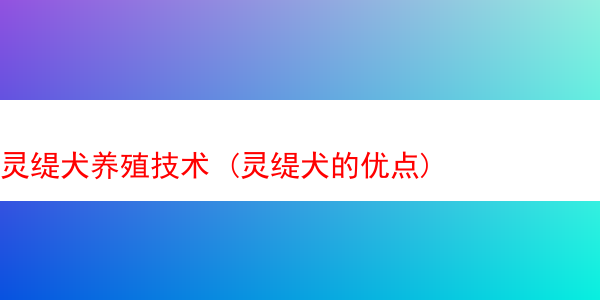 灵缇犬养殖技术 (灵缇犬的优点)