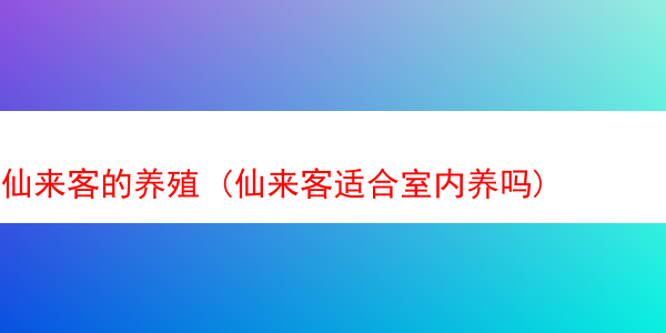 仙来客的养殖 (仙来客适合室内养吗)