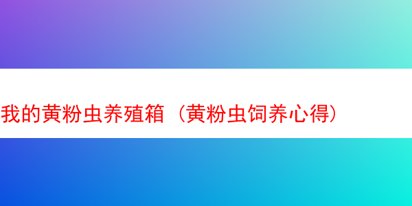 我的黄粉虫养殖箱 (黄粉虫饲养心得)