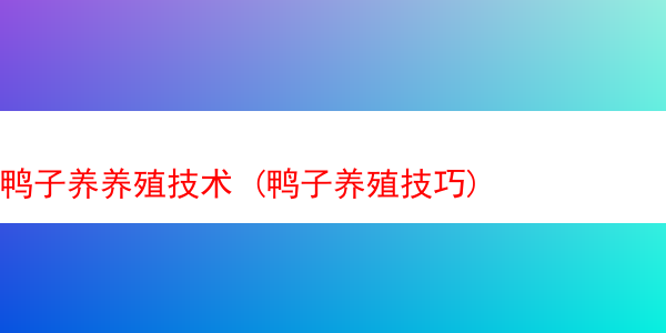 鸭子养养殖技术 (鸭子养殖技巧)