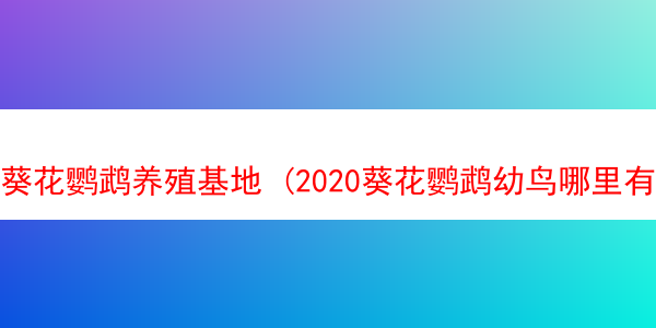 葵花鹦鹉养殖基地 (2020葵花鹦鹉幼鸟哪里有卖)