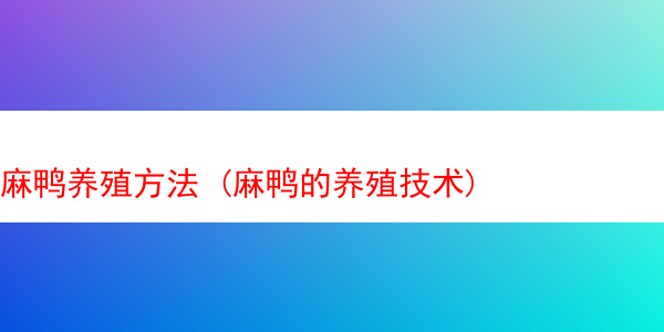 麻鸭养殖方法 (麻鸭的养殖技术)