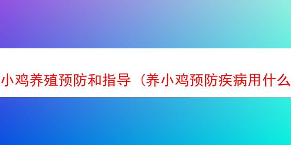 小鸡养殖预防和指导 (养小鸡预防疾病用什么药)