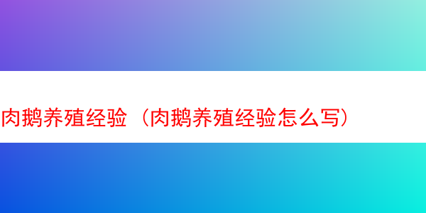 肉鹅养殖经验 (肉鹅养殖经验怎么写)