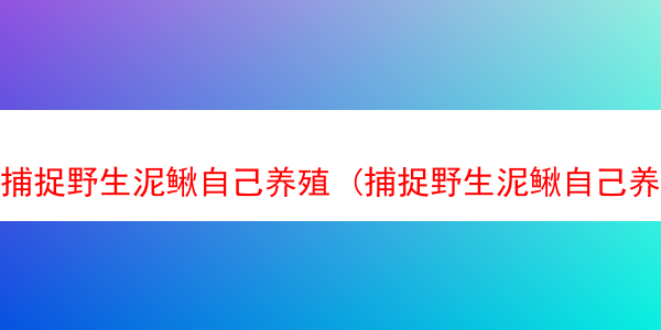 捕捉野生泥鳅自己养殖 (捕捉野生泥鳅自己养殖可以吗)