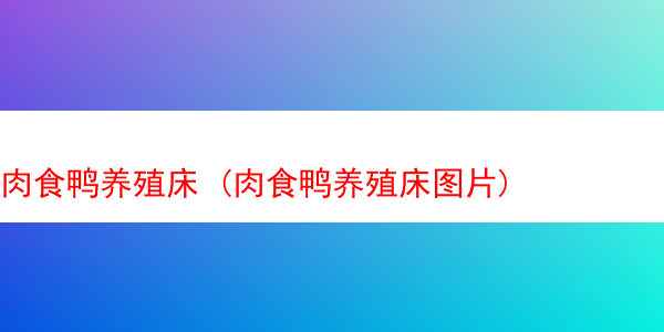 肉食鸭养殖床 (肉食鸭养殖床图片)