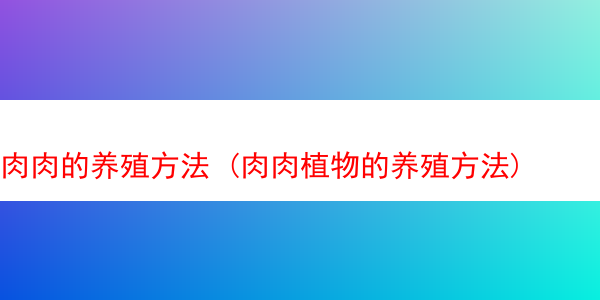 肉肉的养殖方法 (肉肉植物的养殖方法)