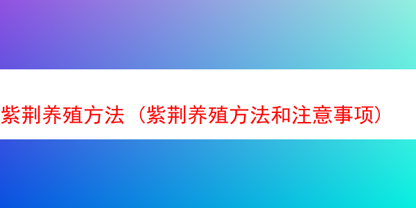 紫荆养殖方法 (紫荆养殖方法和注意事项)