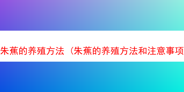 朱蕉的养殖方法 (朱蕉的养殖方法和注意事项绿叶)