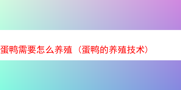 蛋鸭需要怎么养殖 (蛋鸭的养殖技术)