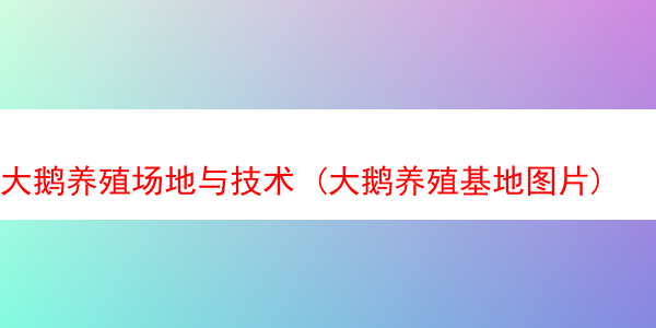 大鹅养殖场地与技术 (大鹅养殖基地图片)