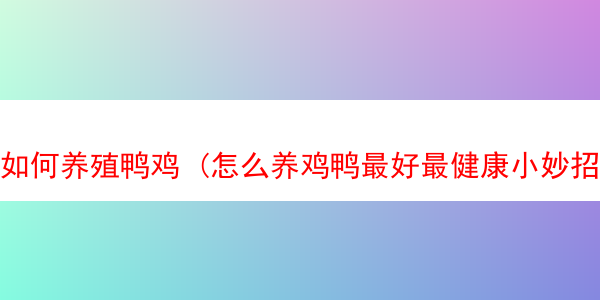 如何养殖鸭鸡 (怎么养鸡鸭最好最健康小妙招)