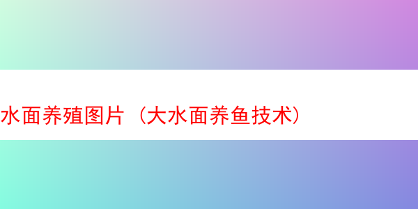 水面养殖图片 (大水面养鱼技术)