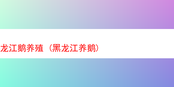 龙江鹅养殖 (黑龙江养鹅)