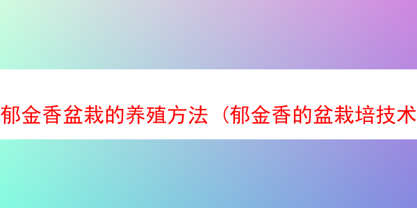 郁金香盆栽的养殖方法 (郁金香的盆栽培技术)