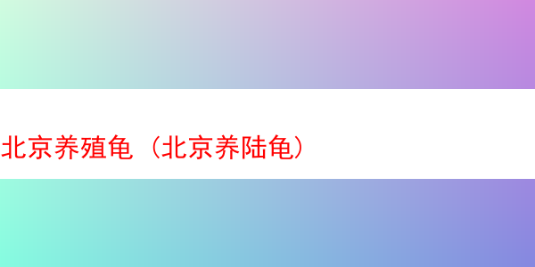 北京养殖龟 (北京养陆龟)