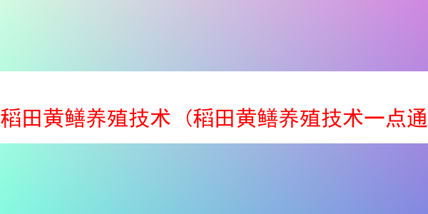 稻田黄鳝养殖技术 (稻田黄鳝养殖技术一点通)