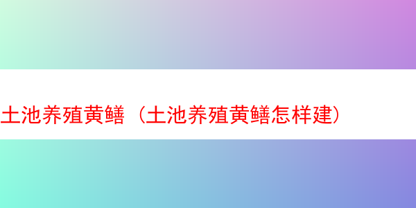 土池养殖黄鳝 (土池养殖黄鳝怎样建)