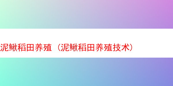 泥鳅稻田养殖 (泥鳅稻田养殖技术)