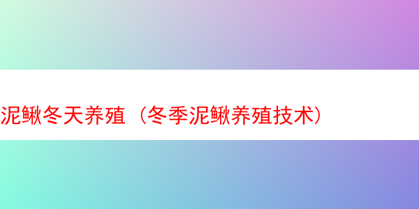 泥鳅冬天养殖 (冬季泥鳅养殖技术)