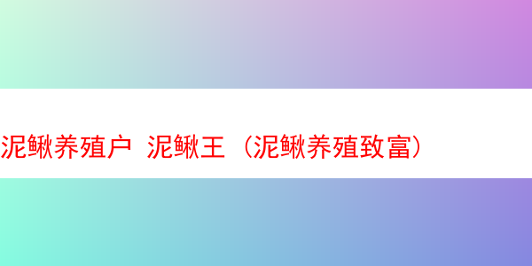 泥鳅养殖户 泥鳅王 (泥鳅养殖致富)