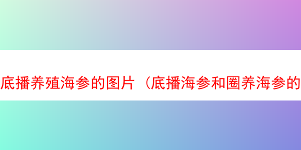 底播养殖海参的图片 (底播海参和圈养海参的区别)