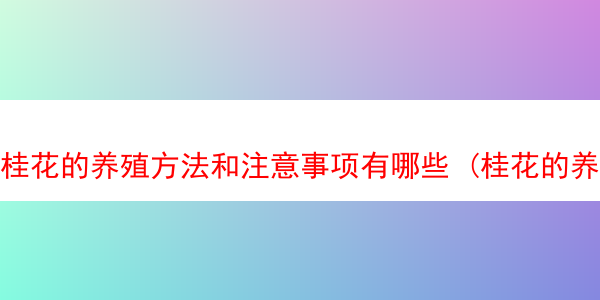 桂花的养殖方法和注意事项有哪些 (桂花的养殖方式)