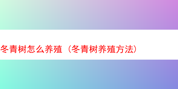 冬青树怎么养殖 (冬青树养殖方法)