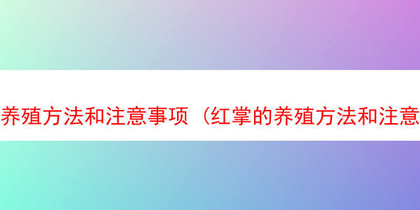 养殖方法和注意事项 (红掌的养殖方法和注意事项)