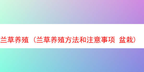 兰草养殖 (兰草养殖方法和注意事项 盆栽)