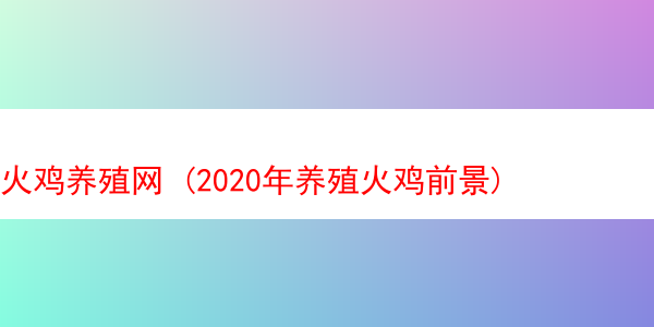 火鸡养殖网 (2020年养殖火鸡前景)